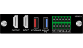 VIKS-HDMI-OUT