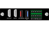 VIKS-HDMI-IN
